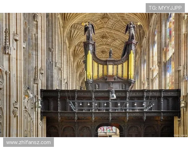 朱利叶斯·欧文：从文学巨匠到历史见证者的成长之路