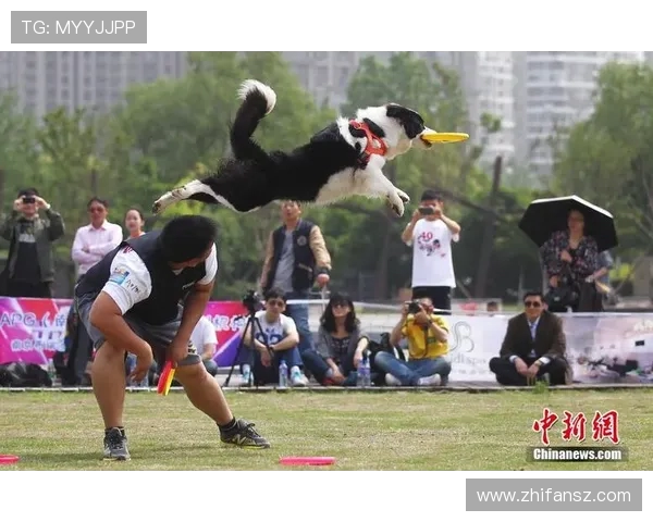 南京飞盘队心理素质强劲跻身全国第二名引发热议