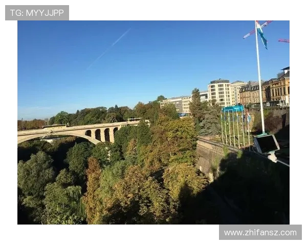 俄罗斯与波兰比赛分析大小分走势及投注建议